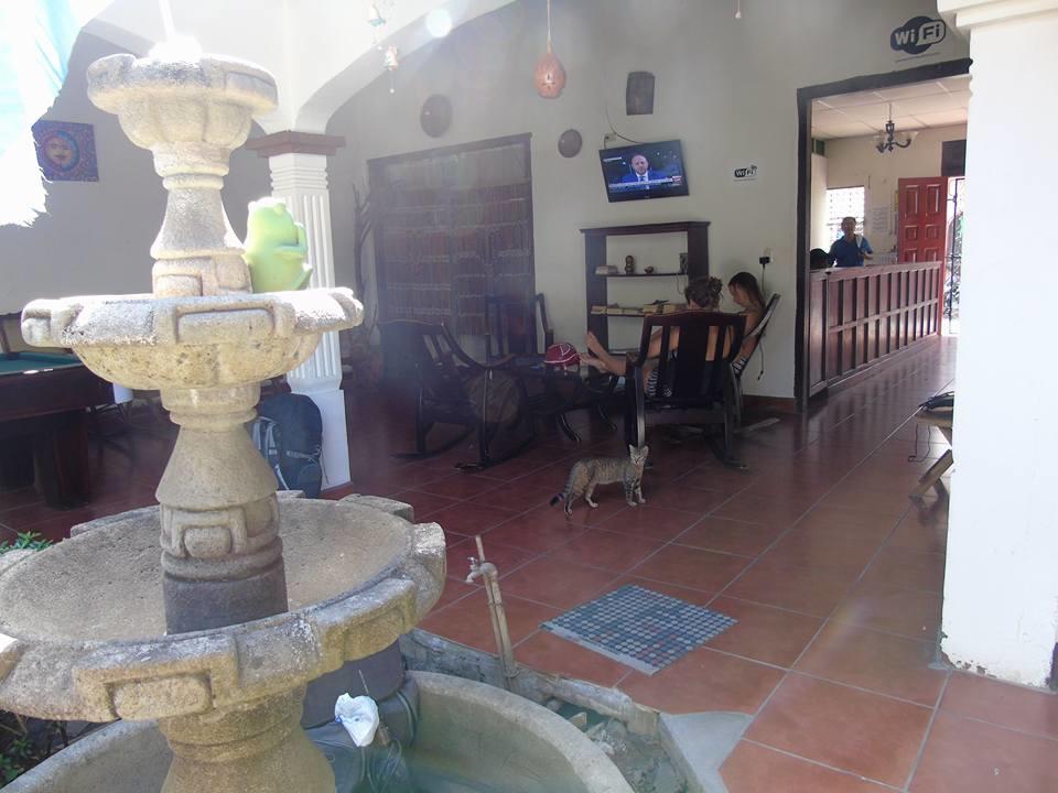Hostal El Jardin León Buitenkant foto